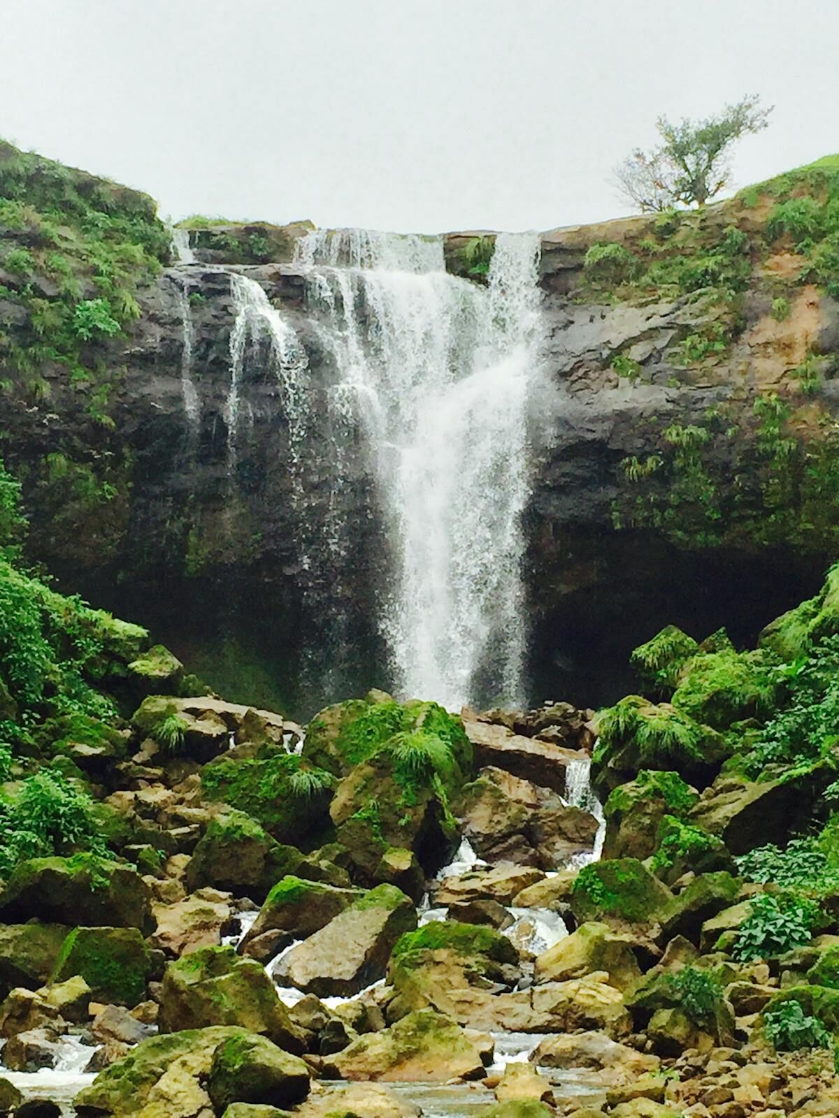 Flying with a Baby or Toddler: The Complete Parent's Guide